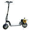 CE Gas Scooter (JC-GS-...