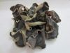 Jew's Ear/Jelly Ear/Black fungus (Auricularia auricula-judae) from vietnam