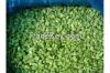 Frozen Diced Green Pep...