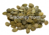 Pumpkin Seeds Karnels ...