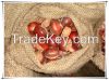 Wholesale Big Size Fre...