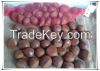 2015 chinese 40-50 chestnut wholesale chestnut dandong chestnut 