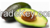 Hass Avocado IQF