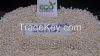 Hulled Sesame Seeds of...