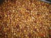 sorghum