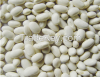 White Kidney beans fro...