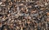 Palm Kernel Shell (PKS)