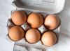 Fertilized Chicken Egg...