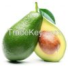 Avocado fruits