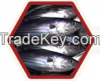 Raw Fish
