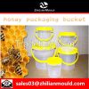 Plastic paint bucket mould / bucket mould by China