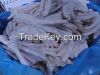 frozen duck wings