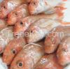 frozen seafood fish