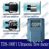 Portable ultrasonic fl...