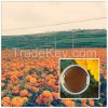 Supercritical Marigold...