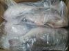  Best Quality Frozen Tilapia Whole Round Wholesale Price 500-800g Fresh Fish 