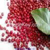 british type red kidney beans