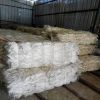 100% NATURAL RAW SISAL FIBER/ SISAL FIBER/ SISAL FIBERS UG GRADE