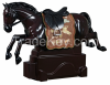 For horseback riding s...