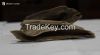 Agarwood chunk Grade B...