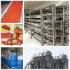 tomato paste productio...