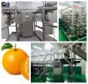 Citrus juice processin...