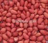 Peanut Kernel