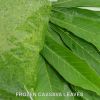 Frozen Cassava Leaves