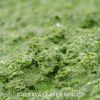 Frozen Cassava Leaves