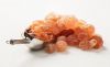 Gum Arabic