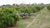 Land for sale in Kibaha, Dar es Salaam, Tanzania