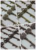 Antique Skeleton Keys ...