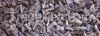 Biomass Palm Kernel Sh...