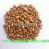 Organic Pine Nut 100% ...