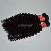 10inch-30inch Virgin Malaysian Remy Hair Deep Curly Natural Black 100g