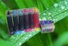 ciss for all brand pri...
