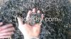 rubber crumb- chip siz...