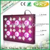 High Power 600w 1000w 1500w 2000w COB grow lighting for hydroponic systems COB grow led lights DM006