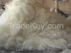 SISAL FIBER