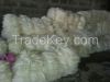 SISAL FIBER