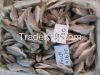 Silver Croaker