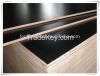 film faced plywood  /  marine plywood  for constrcution and building usage