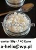 snails,caracoles,lumac...