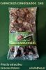 snails,caracoles,lumac...