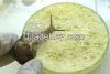 snail mucus, baba de c...