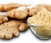 Wholesale organic fresh ginger price in 2018 ( Anna +84988332914)