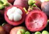 Fresh mangosteen export standard/Ms.Hanna	
