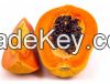  High quality red lady seeds papaya seed for sale pawpaw( Anna + 84988332914)