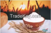 Russian wheat flour fr...