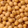 Soybeans